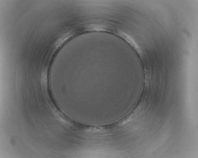 X0000115390386200911241250