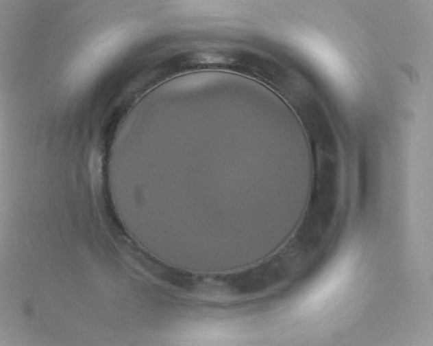 X0000115390387200911241250