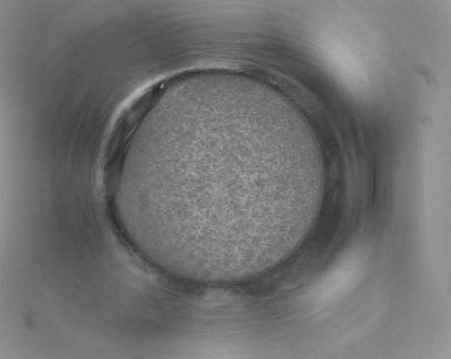 X0000115390388200911241250