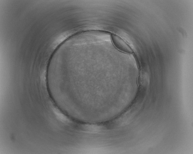 X0000115390389200911241250