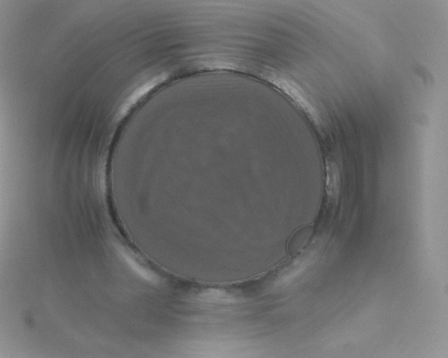 X0000115390390200911241250