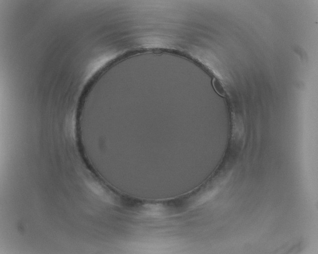 X0000115390391200911241250