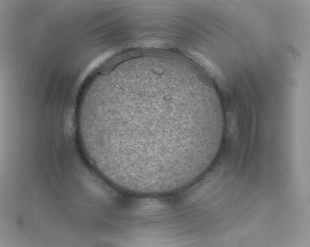 X0000115390392200911241250