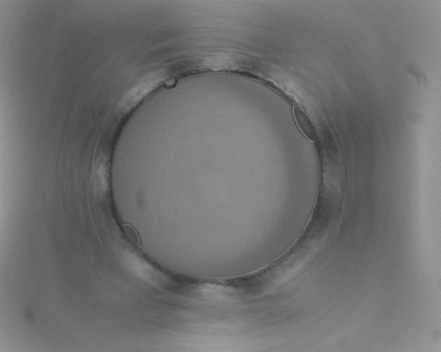 X0000115390393200911241250