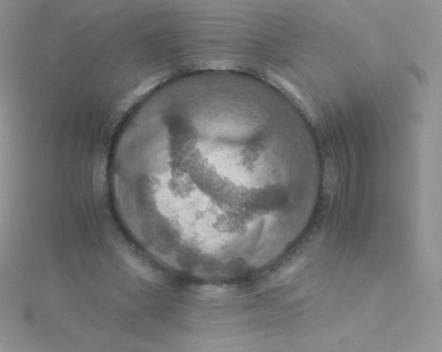 X0000115390394200911241250