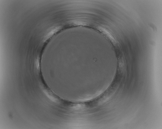 X0000115390398200911241250