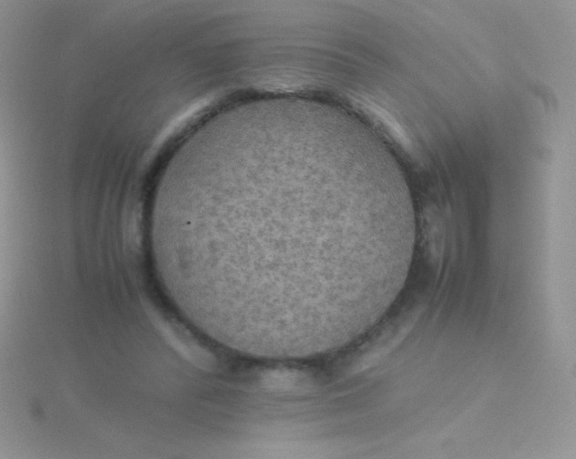 X0000115390400200911241250