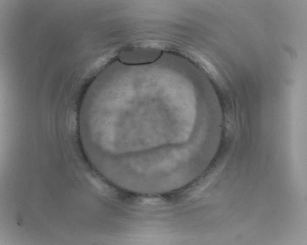 X0000115390401200911241250