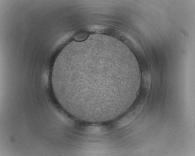 X0000115390404200911241250