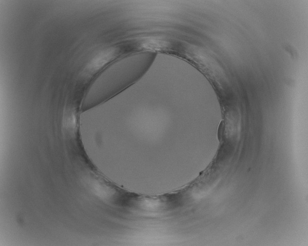 X0000115390405200911241250