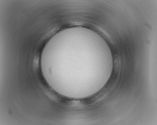 X0000115390406200911241250