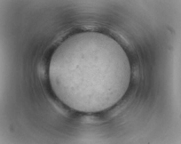 X0000115390408200911241250