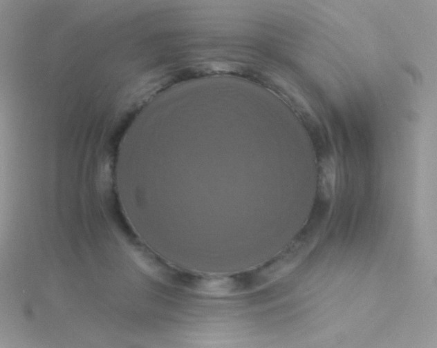 X0000115390410200911241250