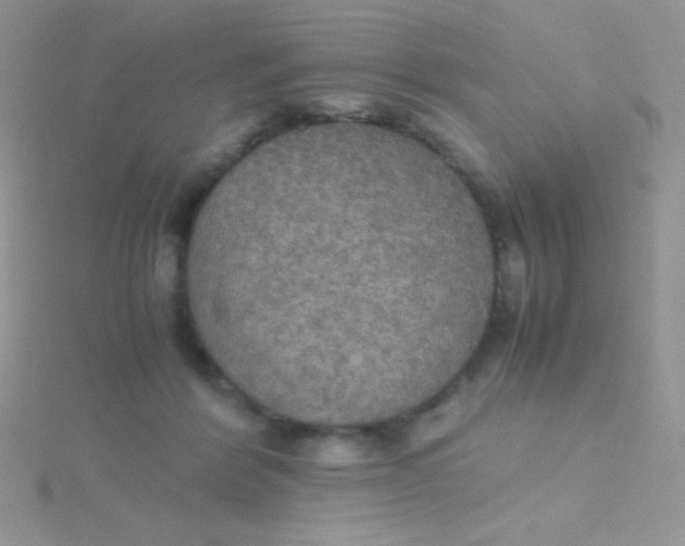 X0000115390412200911241250