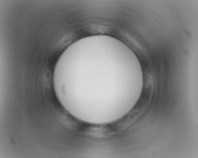 X0000115390414200911241250