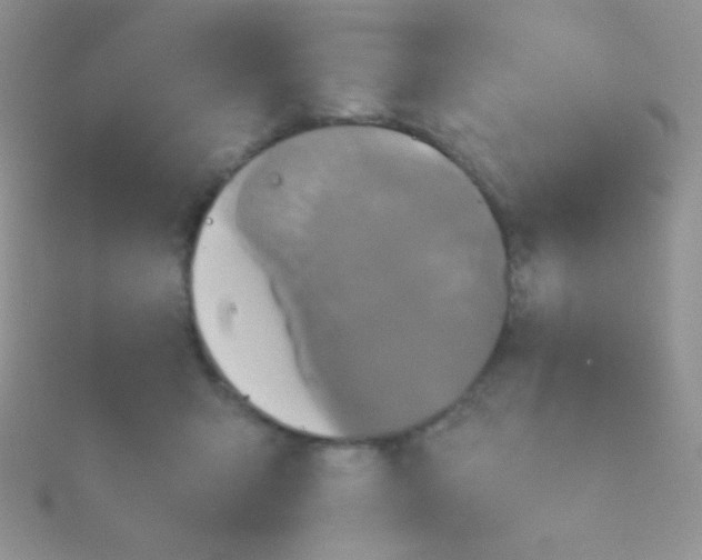 X0000115390415200911241250