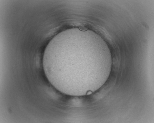 X0000115390416200911241250