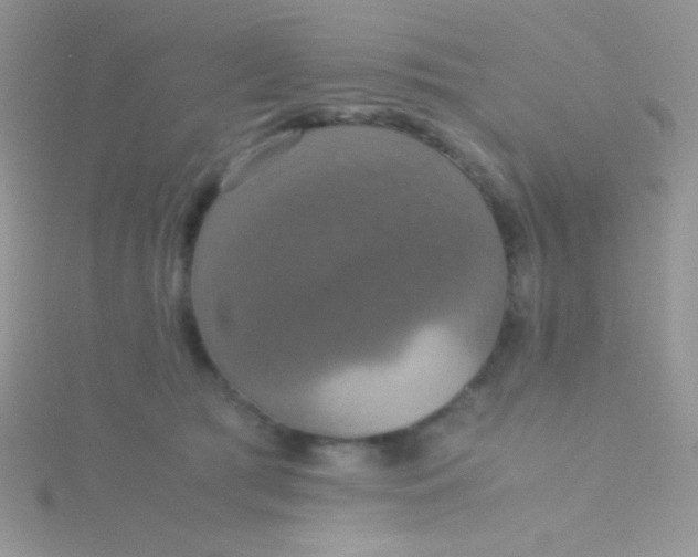 X0000115390417200911241250