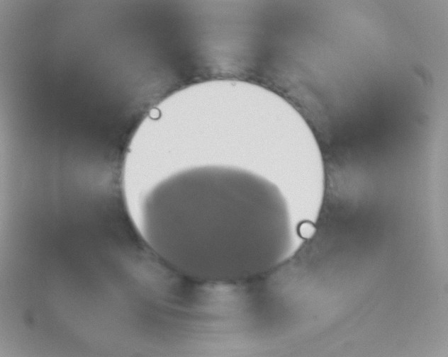 X0000115390419200911241250