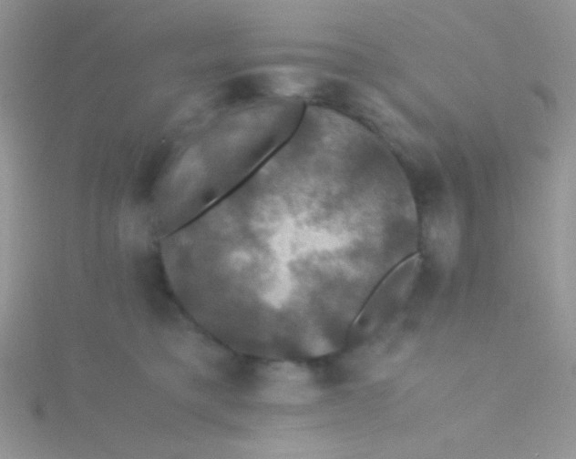 X0000115390421200911241250