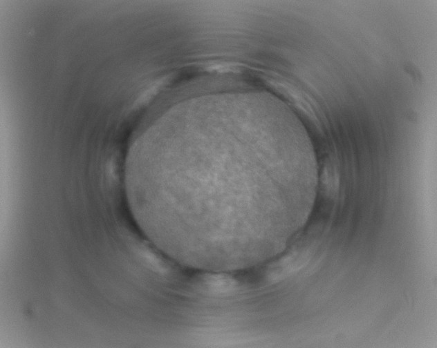 X0000115390424200911241250