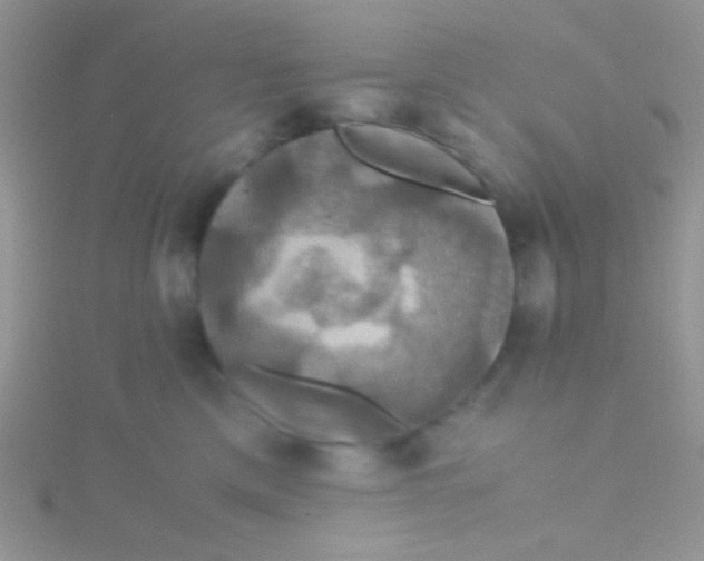 X0000115390425200911241250