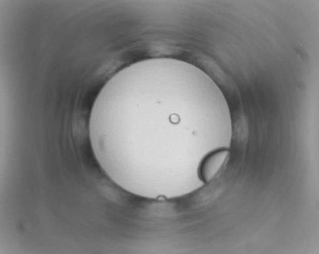 X0000115390426200911241250