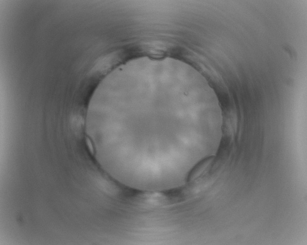 X0000115390427200911241250