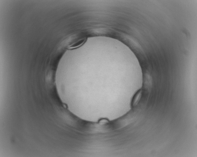 X0000115390428200911241250