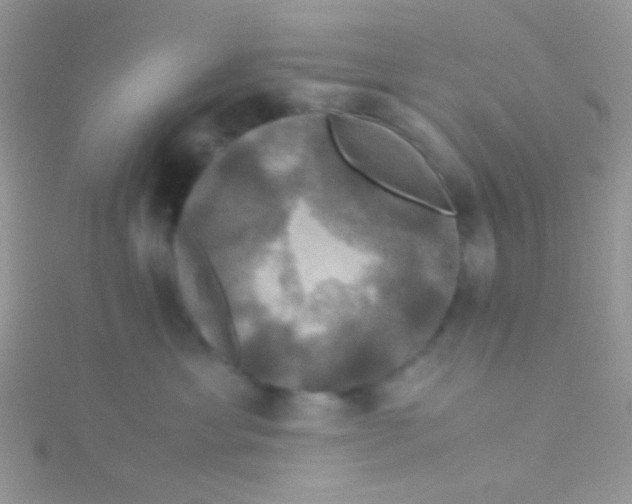 X0000115390429200911241250