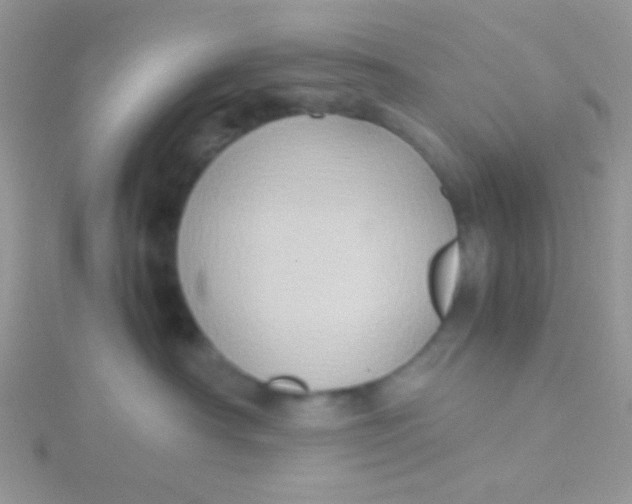 X0000115390430200911241250