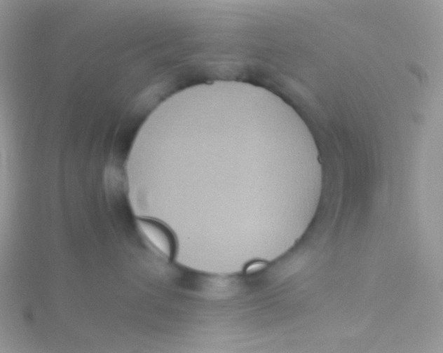 X0000115390432200911241250