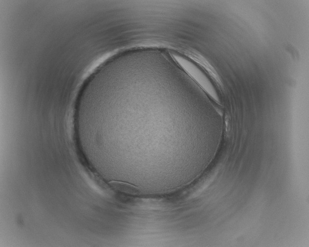 X0000115390436200911241249