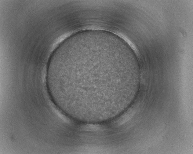 X0000115390437200911241249