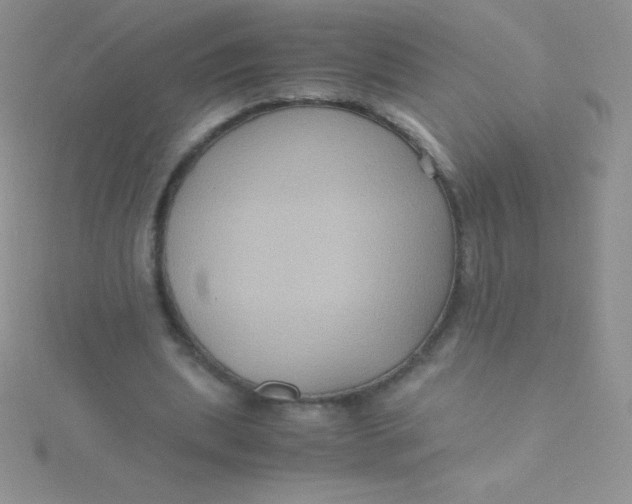 X0000115390439200911241249