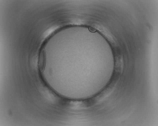 X0000115390440200911241249