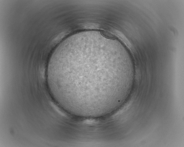 X0000115390441200911241249