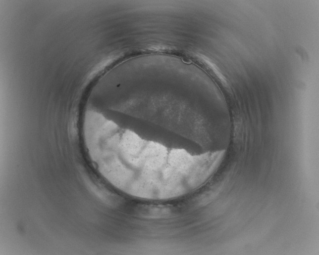 X0000115390443200911241249