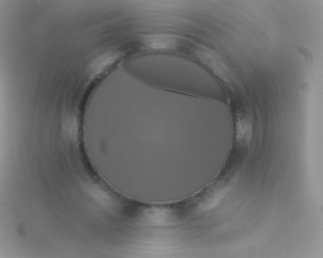 X0000115390444200911241249