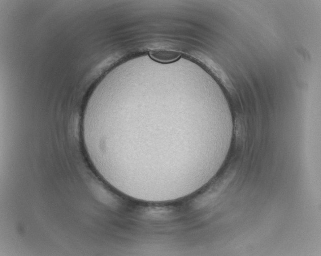 X0000115390445200911241249