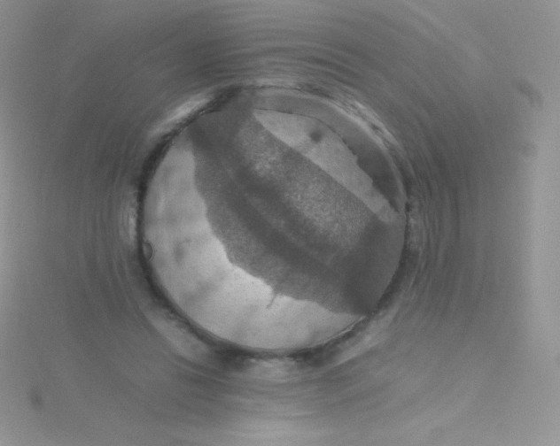 X0000115390446200911241249