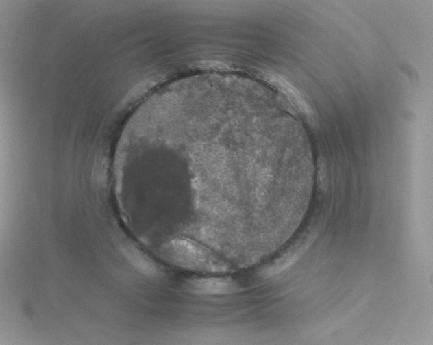 X0000115390449200911241249