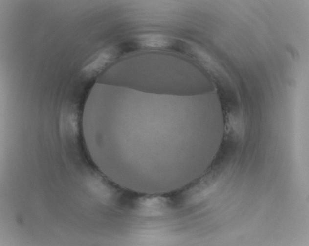 X0000115390452200911241249