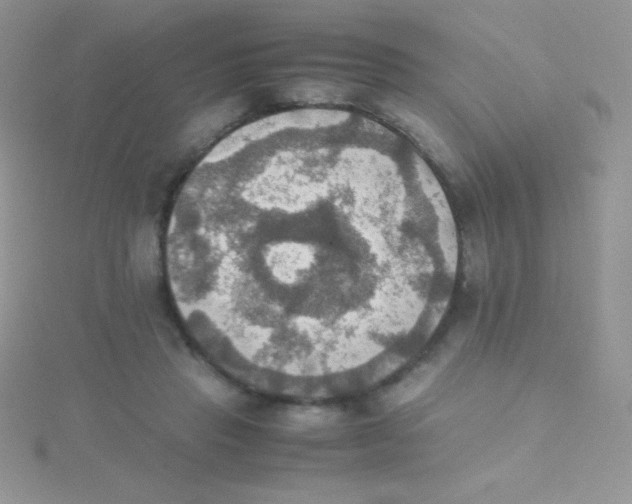 X0000115390453200911241249