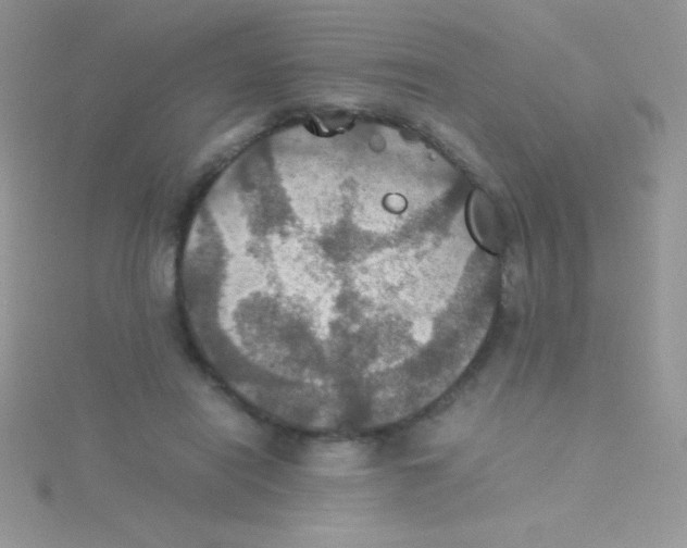 X0000115390454200911241249