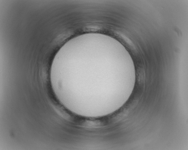 X0000115390455200911241249