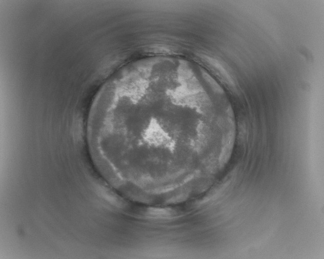 X0000115390457200911241249