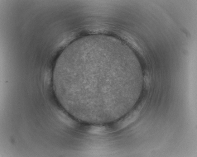 X0000115390458200911241249