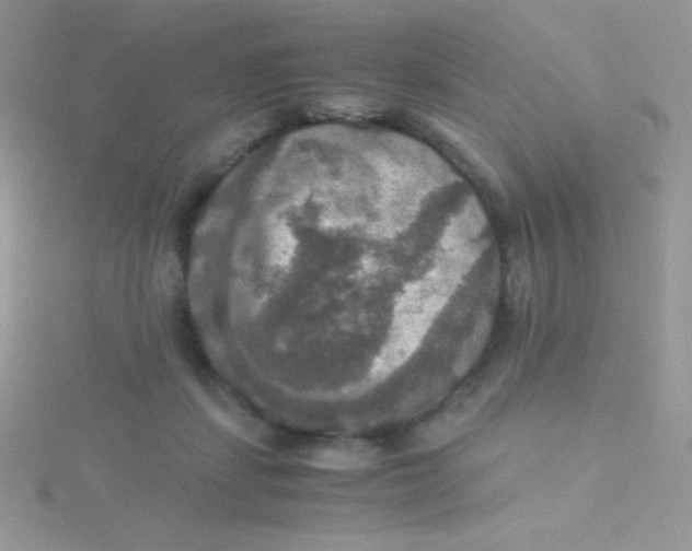 X0000115390459200911241249