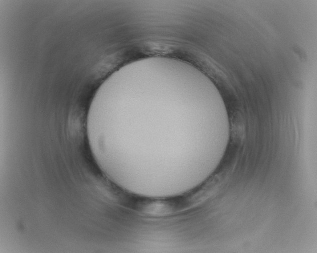 X0000115390460200911241249